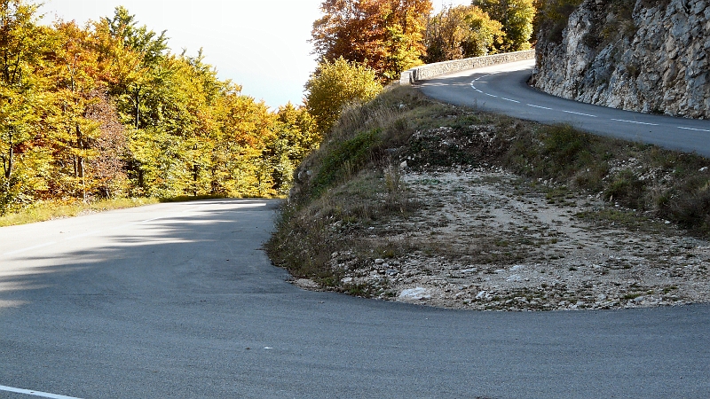 P1000211.JPG