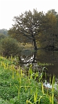 P1000206