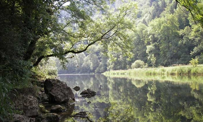 doubs.jpg - Le Doubs à Goumois