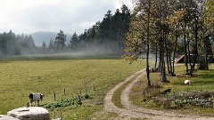 P1000117